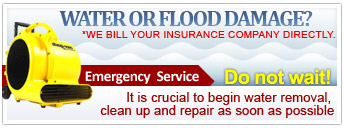 floods, mold and water damage restoration services